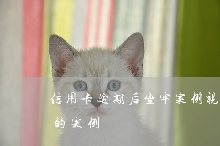 信用卡逾期后坐牢案例视频(欠信用卡被判刑的案例)