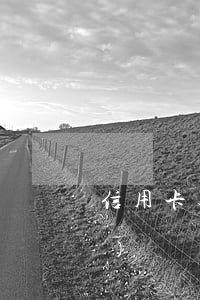 信用卡逾期后報(bào)案經(jīng)偵處理(欠信用卡會(huì)報(bào)經(jīng)偵嗎)