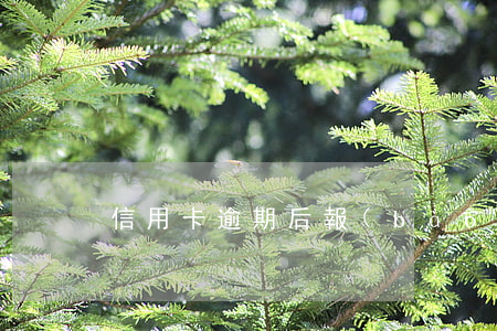 信用卡逾期后報(bào)案與起訴