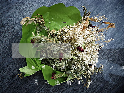 信用卡逾期后報(bào)案處理(最新的信用卡逾期處理)