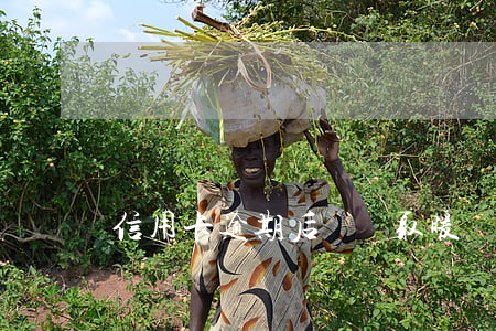 信用卡逾期后報團取暖