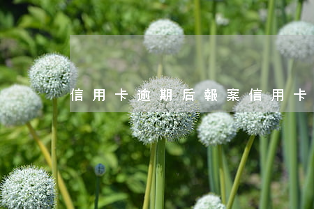 信用卡逾期后報案(信用卡逾期后報案)