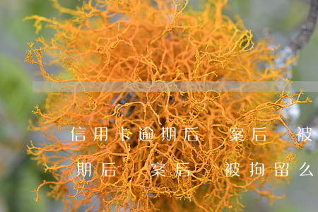信用卡逾期后報案后會被拘留么-信用卡逾期后報案后會被拘留么嗎