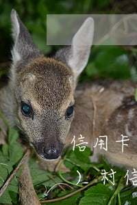 信用卡逾期后多久不用上征信(農(nóng)村信用社信用卡逾期幾天會上征信嗎)