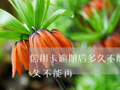 信用卡逾期后多久不能再還 信用卡逾期后多久不能再還
