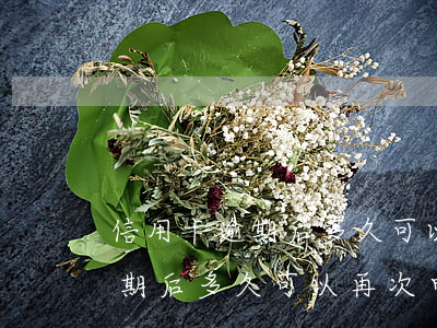 信用卡逾期后多久可以再次申請-信用卡逾期后多久可以再次申請信用卡