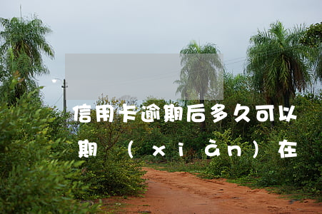 信用卡逾期后多久可以買房(前幾年信用卡逾期現(xiàn)在買房能通過嗎)