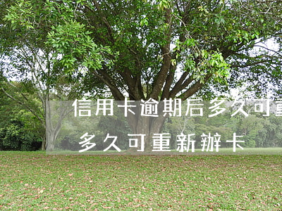 信用卡逾期后多久可重新辦卡(信用卡逾期后多久可重新辦卡)