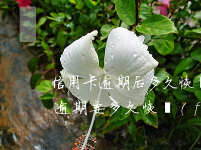 信用卡逾期后多久恢復(fù)誠信(信用卡逾期要多久恢復(fù))