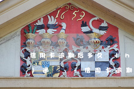 信用卡逾期后多久會(huì)報(bào)通訊錄-“信用卡逾期多久會(huì)被起訴”