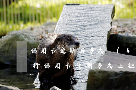信用卡逾期后多久會(huì)查征信(各銀行信用卡逾期多久上征信)