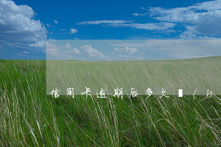 信用卡逾期后多久會(huì)違還