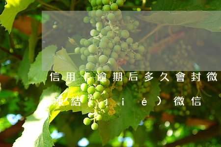 信用卡逾期后多久會封微信(欠信用卡多久會凍結(jié)微信)