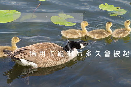 信用卡逾期后多久會被起訴(信用卡 逾期多久)