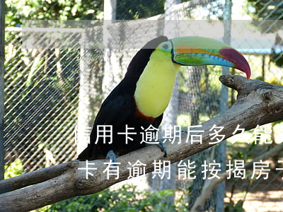 信用卡逾期后多久能买房吗(2018年信用卡有逾期能按揭房子吗)