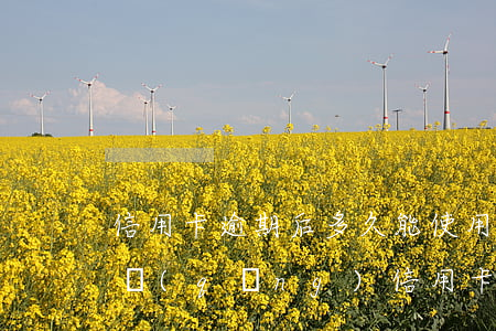 信用卡逾期后多久能使用-逾期后多久能申請(qǐng)信用卡