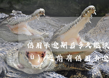 信用卡逾期后多久能恢復(fù)信譽(yù)(之前有信用卡逾期多久可以恢復(fù)征信)