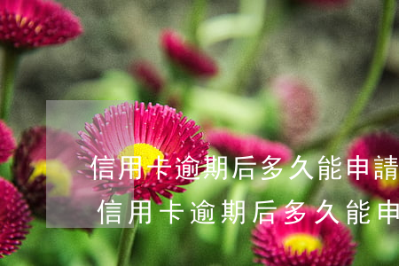信用卡逾期后多久能申請(qǐng)貸款 信用卡逾期后多久能申請(qǐng)貸款還款