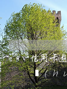 信用卡逾期后多久被拘捕(被拘留信用卡逾期會(huì)怎么樣)