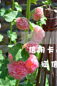 信用卡逾期后多久覆蓋(信用卡逾期后多久覆蓋征信)