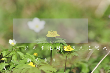 信用卡逾期后多久连锁反应(10张信用卡逾期的后果)