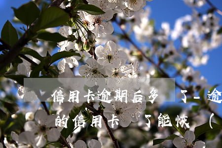 信用卡逾期后多還了-逾期嚴(yán)重的信用卡還了能恢復(fù)嗎