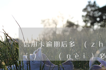 信用卡逾期后多長(zhǎng)時(shí)間內(nèi)必須還清