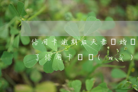 信用卡逾期后夫妻離婚還受影響嗎(夫妻離婚了信用卡債務(wù)會(huì)不會(huì)有關(guān)系嗎)