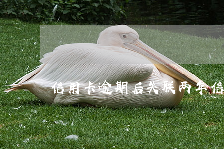 信用卡逾期后失联两年(信用卡逾期2年)