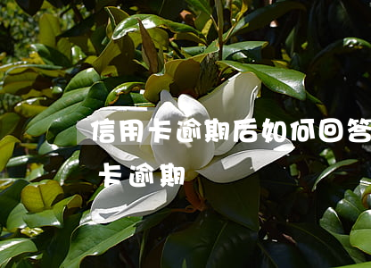 信用卡逾期后如何回答客服(接到電話說信用卡逾期)