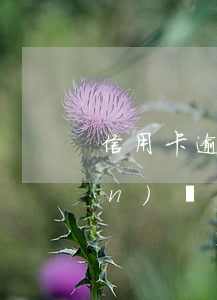 信用卡逾期后如何實(shí)現(xiàn)個(gè)性化分期-信用卡逾期后如何實(shí)現(xiàn)個(gè)性化分期還款
