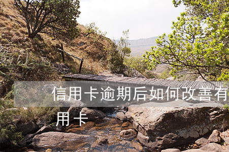 信用卡逾期后如何改善(有過逾期怎么申請信用卡)