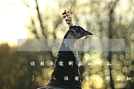 信用卡逾期后如何正確處理和應(yīng)對-信用卡逾期后如何正確處理和應(yīng)對措施