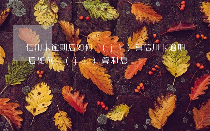 信用卡逾期后如何計(jì)算(信用卡逾期后如何計(jì)算利息)