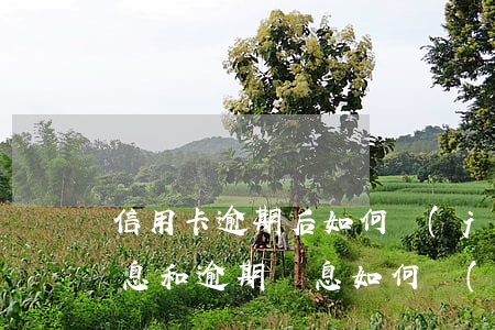 信用卡逾期后如何計(jì)算利息(逾期利息和逾期罰息如何計(jì)算)