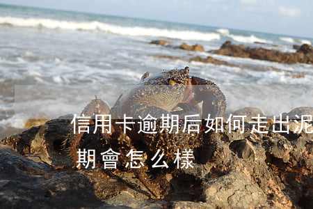 信用卡逾期后如何走出泥潭(如果說信用卡逾期會怎么樣)