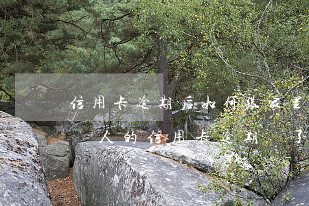 信用卡逾期后如何跟家里聯(lián)系(別人的信用卡逾期,寫了我的聯(lián)系方式)