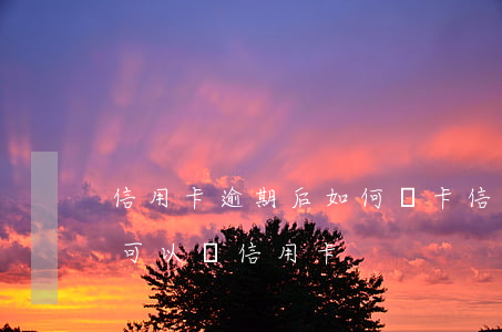 信用卡逾期后如何辦卡(信用卡逾期之后多久可以辦信用卡)