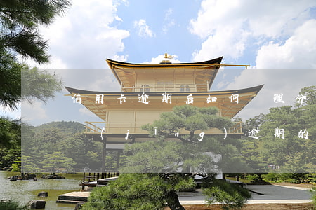 信用卡逾期后如何辦理分期手續(xù) 已經(jīng)逾期的信用卡如何辦理分期