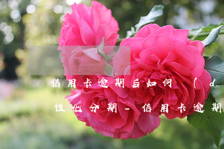 信用卡逾期后如何達(dá)成個(gè)性化分期-信用卡逾期后如何達(dá)成個(gè)性化分期協(xié)議