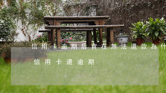 信用卡逾期后實在無法還款(為什么明明還了信用卡還逾期)