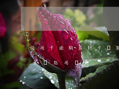 信用卡逾期后封卡還能用嗎(信用卡逾期后封卡還能用嗎)