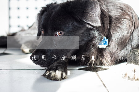 信用卡逾期后對(duì)個(gè)人有什么影響-信用卡逾期后對(duì)個(gè)人有什么影響嗎