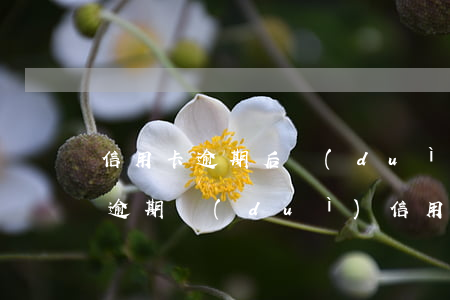 信用卡逾期后對(duì)征信有什么影響(逾期對(duì)信用卡的影響)