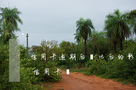 信用卡逾期后對以后的影響(別的逾期會影響信用卡嗎)