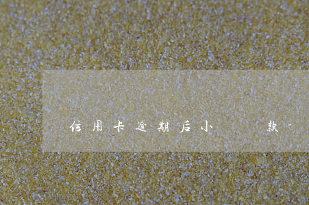 信用卡逾期后小額還款-小額逾期還款后果