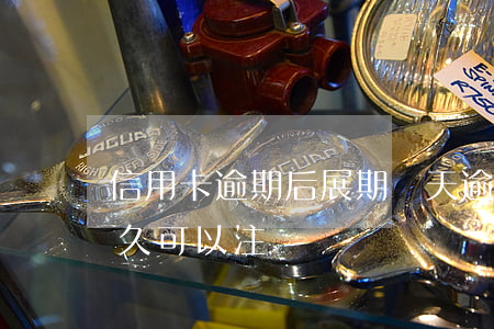 信用卡逾期后展期幾天(逾期還款的信用卡多久可以注銷)