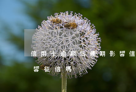 信用卡逾期后展期影響(信用卡逾期后展期影響征信嗎)