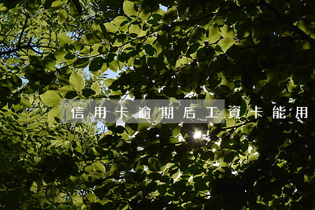 信用卡逾期后工資卡能用嗎
