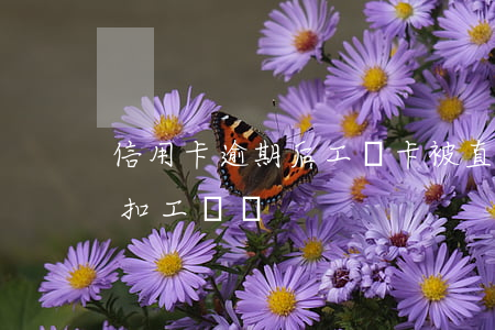 信用卡逾期后工資卡被直接扣款 欠信用卡會扣工資嗎